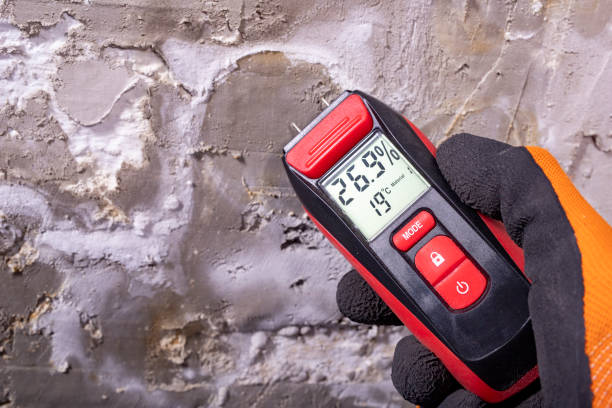 Best Mold Removal Company Near Me  in Lakewood Park, FL