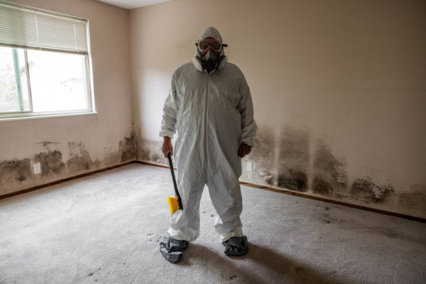 Best Crawl Space Mold Removal  in Lakewood Park, FL